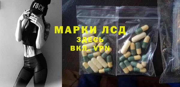 крисы Абаза