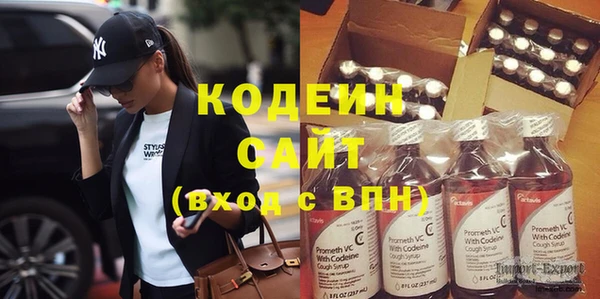 крисы Абаза