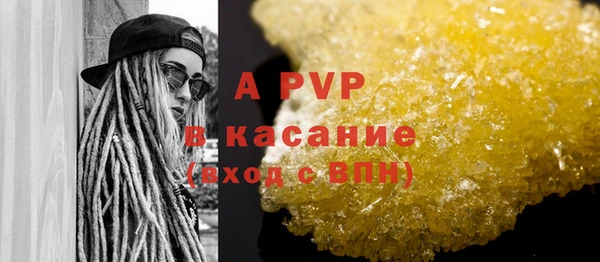 крисы Абаза