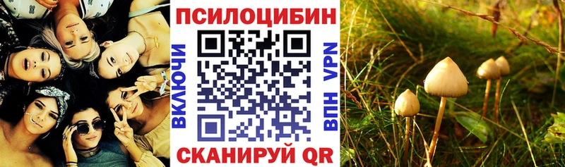 Псилоцибиновые грибы Cubensis  Кировград 