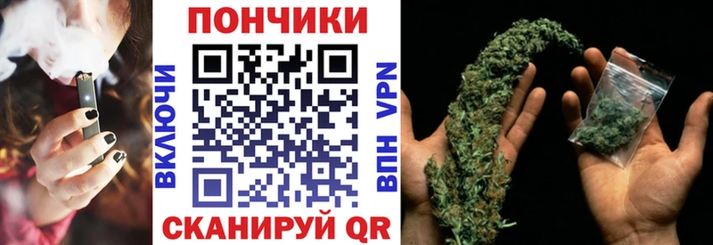 где купить наркотик  mega ТОР  Каннабис семена  Кировград 